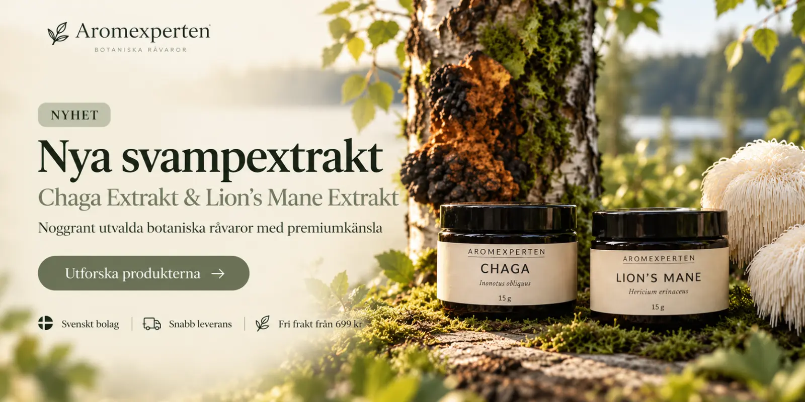 Aromexperten Chaga Extrakt och Lion’s Mane Extrakt i glasburkar i en solbelyst skogsmiljö med björkstam och svampar.