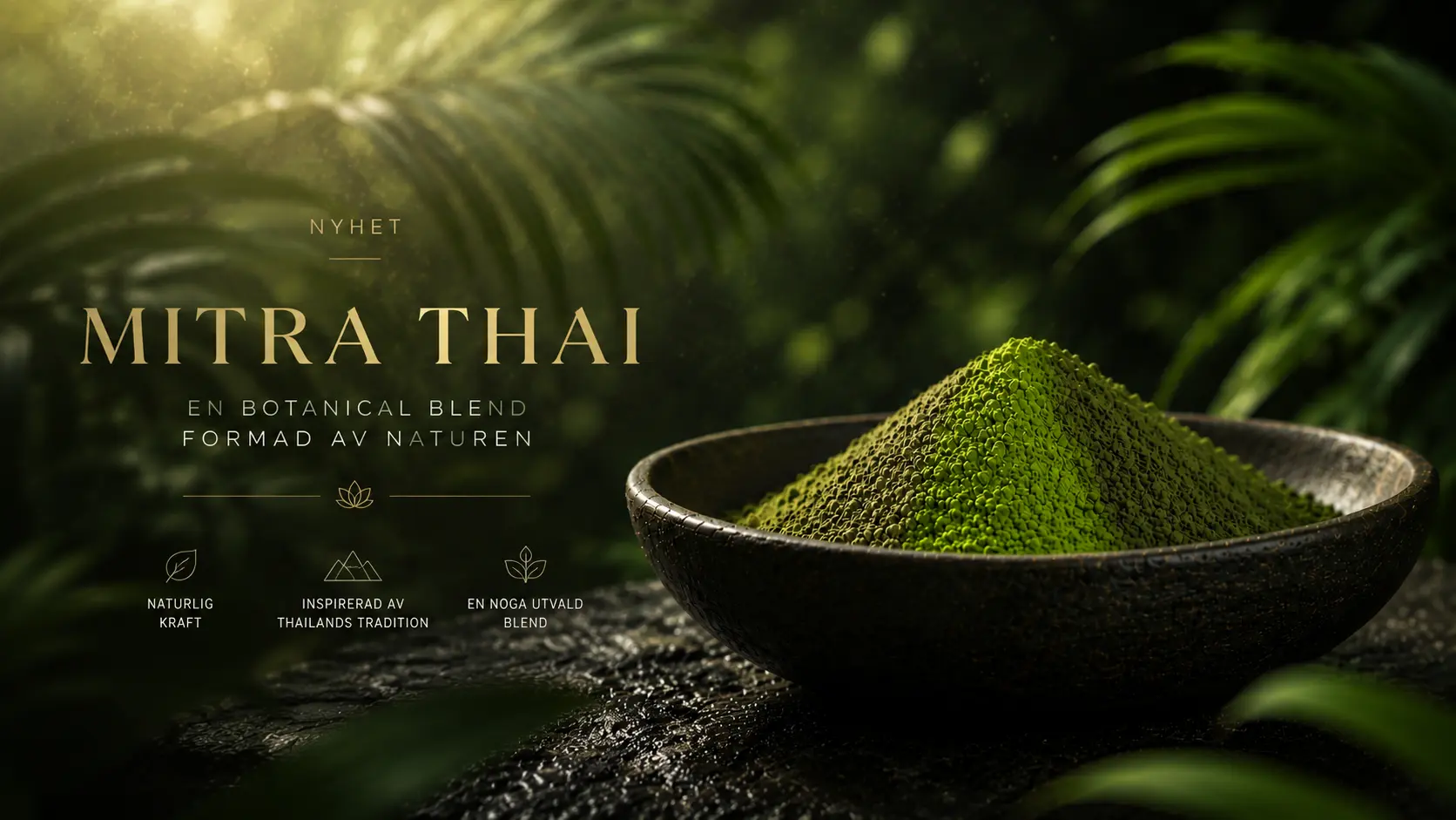 Mitra Thai