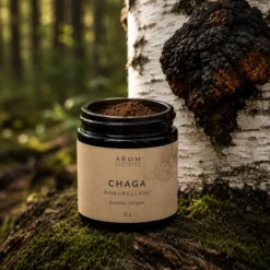 Chaga extraktpulver i öppen glasburk med Inonotus obliquus på björkträd i nordisk skog