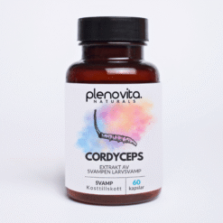 Cordyceps 60 Kapslar