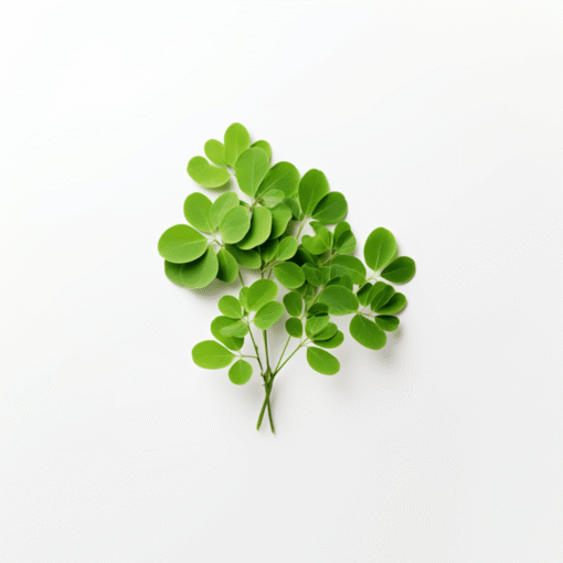 Moringa 60 Kapslar - Bild 3