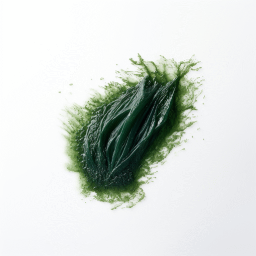 Spirulina 360 Tabletter - Bild 3