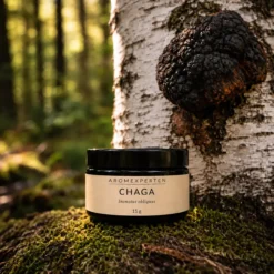 chaga extrakt från Aromexperten i mörk glasburk i skogsmiljö framför björk med sprängticka.