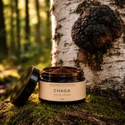 Chaga extrakt från Aromexperten i öppen burk med mörkbrunt pulver framför björk med sprängticka.