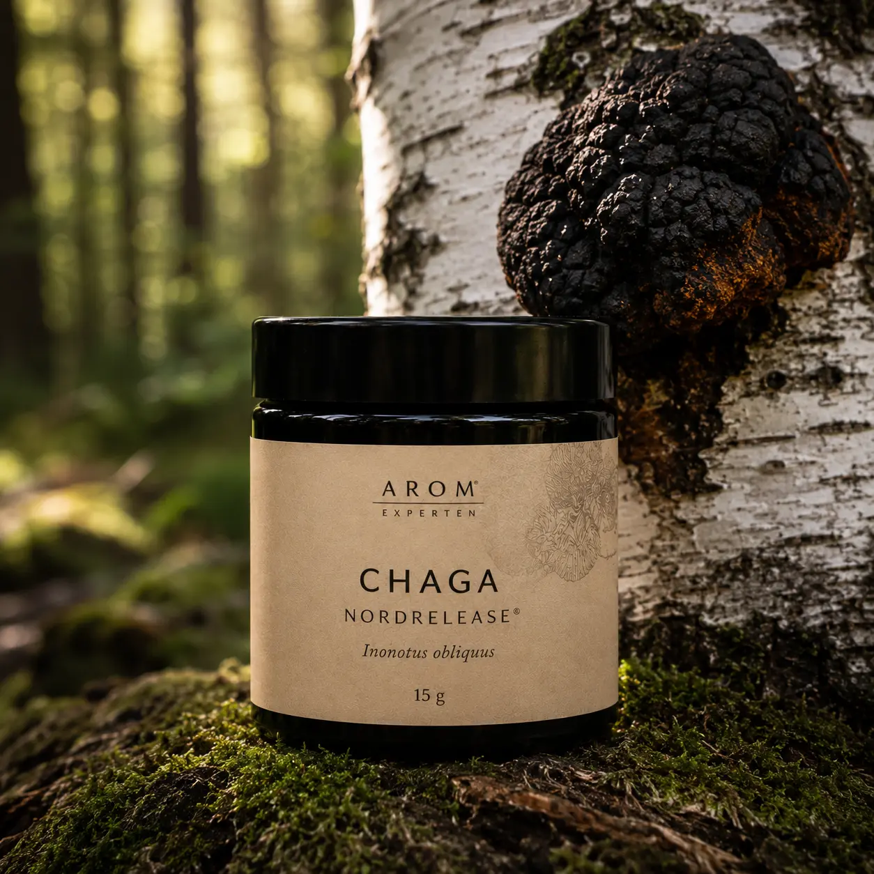 Chaga NordRelease®