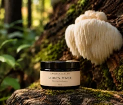 Lion's Mane extrakt från Aromexperten i mörk glasburk framför Lion’s Mane-svamp i naturlig skogsmiljö.