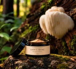 Lion's Mane extrakt från Aromexperten i öppen burk med pulver bredvid Lion’s Mane-svamp i skogen.