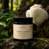 Lion’s Mane extrakt NordRelease 15 g i svart Miron-glas