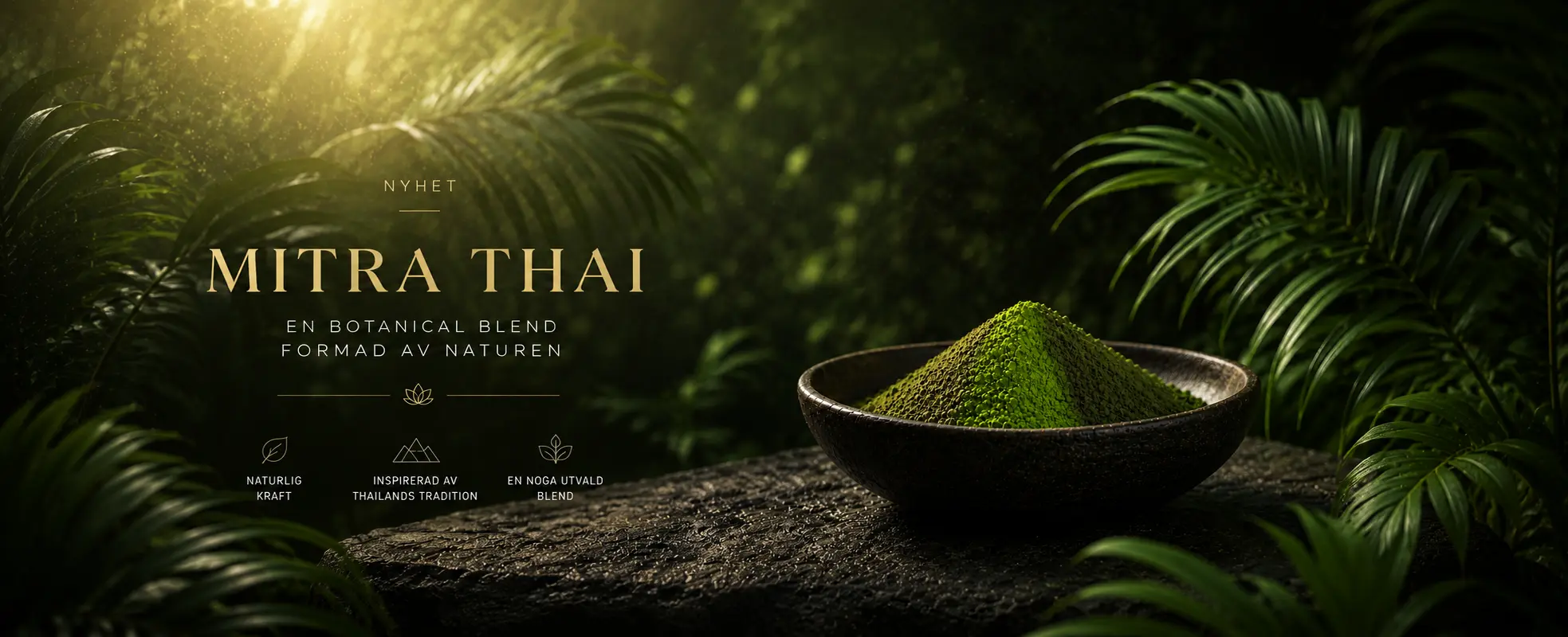 Mitra Thai